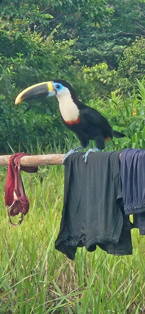 resize_KakaoTalk_20250721_210734438_04.jpg